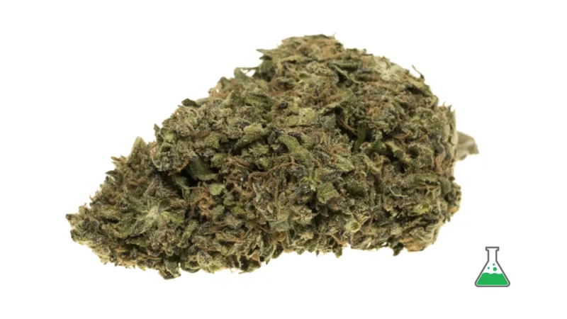 Decode Your Weed's Report Card: What Those Lab Numbers Are Actually Telling You